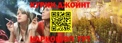 a pvp Бийск