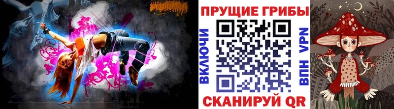 Псилоцибиновые грибы Psilocybe  Владимир 