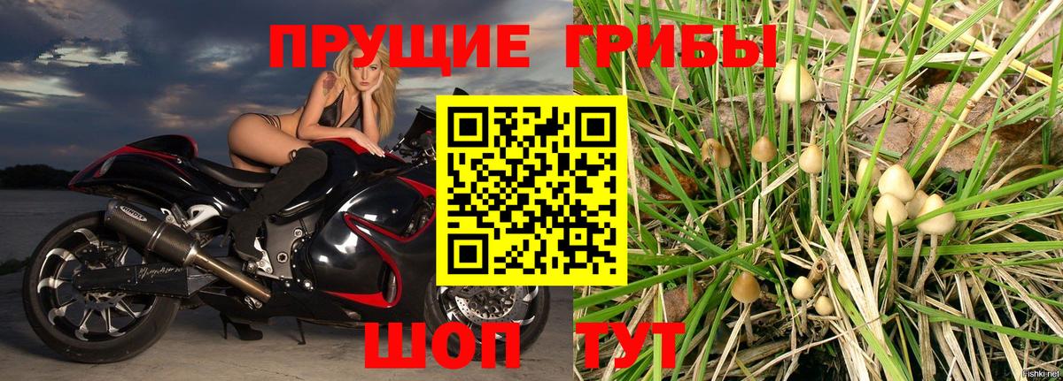 Галлюциногенные грибы Psilocybine cubensis  где можно купить   Владимир 