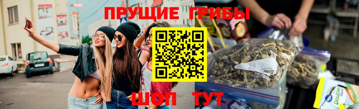 Псилоцибиновые грибы GOLDEN TEACHER  Вход с VPN  Владимир 